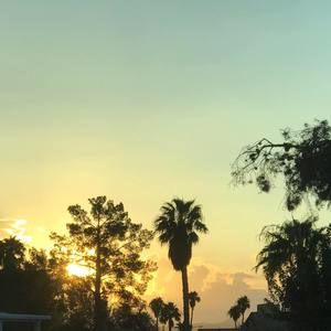 Meet your Posher, Glenis